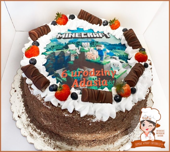 tort_minecraft_pyzipyzi