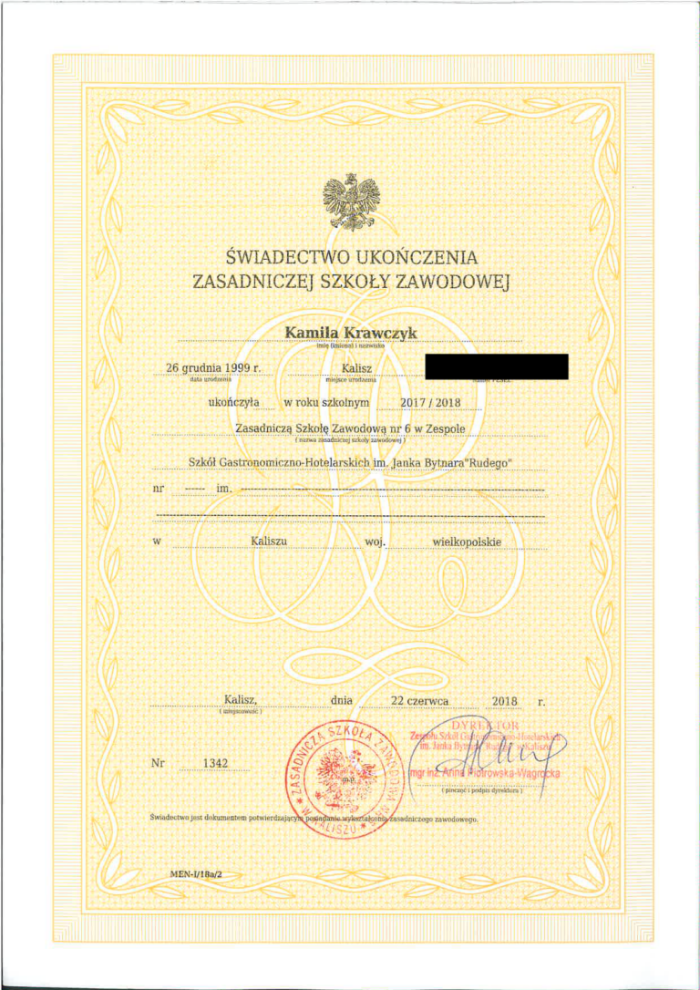 Ukonczenie szkoly zawodowej