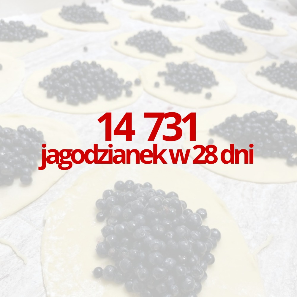 Podsumowanie Jagodziankowe